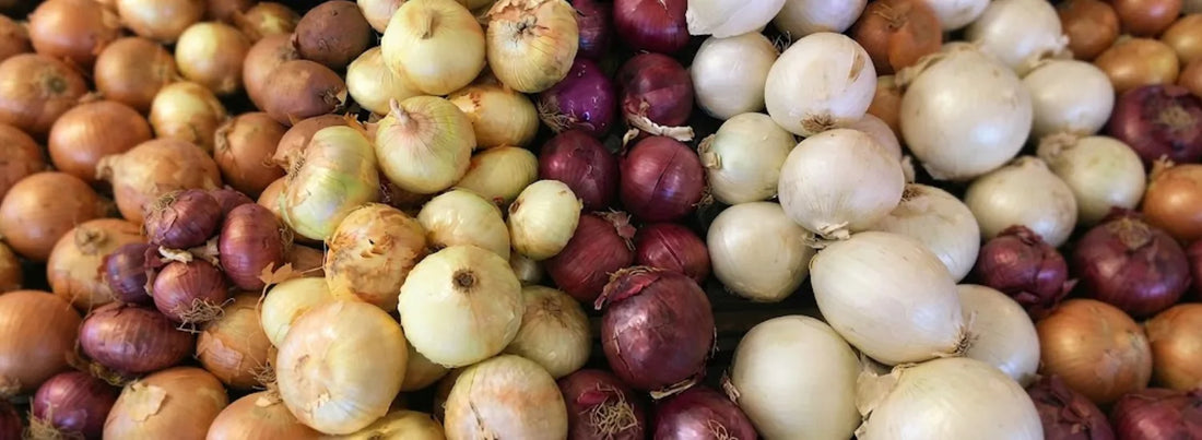 An assortment of onions of various colors, piled up.