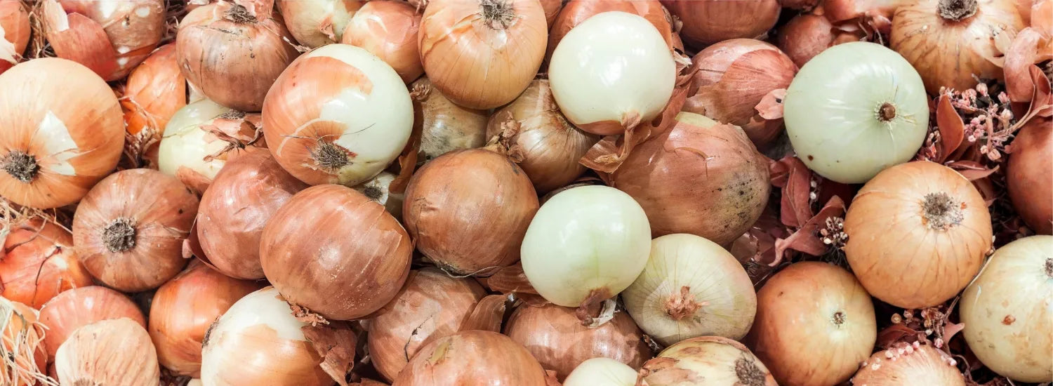  A pile of fresh sweet onions, most of which are still in their shell.