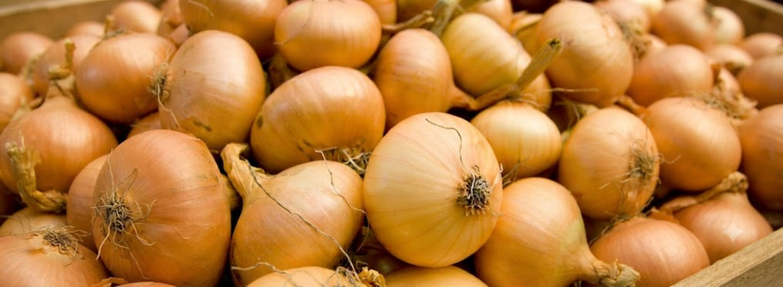 A large number of yellow Vidalia onions piled up in frame.