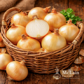 Organic Vidalia Onions