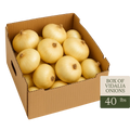 Vidalia Onions (40 LBS)